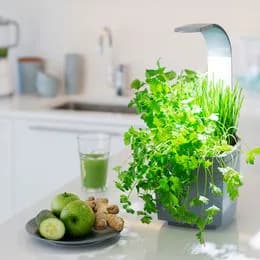 TREGREN Kitchen Garden T3 Harmaa