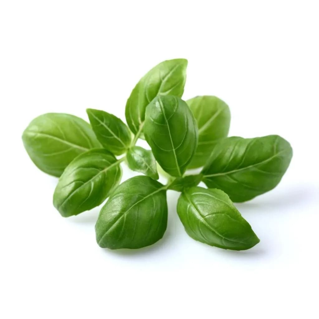 Click and Grow Smart Garden Refill 3-pack - Basil