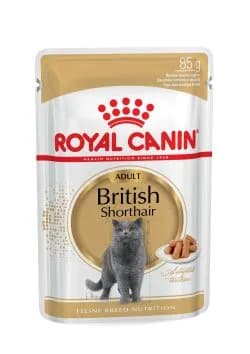 Royal Canin British Shorthair Adult in Gravy, Kissan märkäruoka, 12 x 85 g