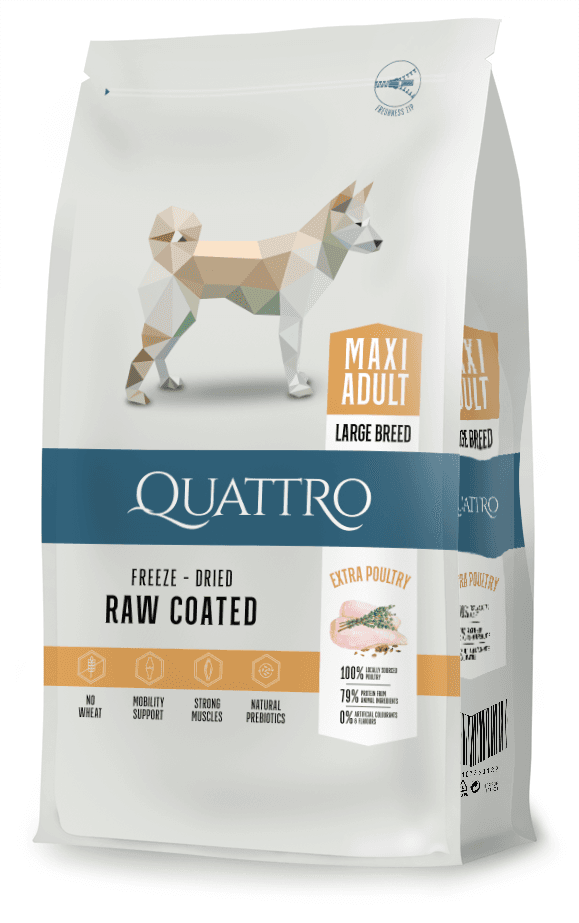 Quattro Super Premium siipikarja, Maxi Adult 3kg