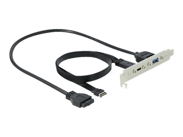Delock Slot bracket - USB-paneeli - 19 pin USB 3.0 samlekasse, 20 pin USB 3.1 samlekasse til USB Type A, USB-C (hun) - 5 / 20 V - 50 cm - lajittelu