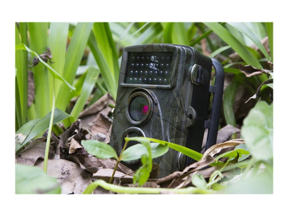 Technaxx Nature Wild Cam TX-69, Sisätila ja ulkotila, Laatikko, Maastoväri, Pölynkestävä, IP56, TFT-LCD