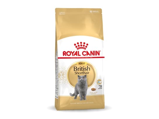 Royal Canin brittiläinen lyhytkarvainen aikuinen kissan kuivaruoka 4 kg