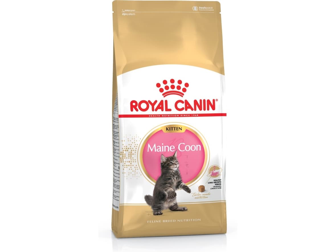 Royal Canin Maine Coon Kitten, Kissanpentu, Maine Coon, Siipikarja, Riisi, 4 kg, Antioksidantit sisältyvät