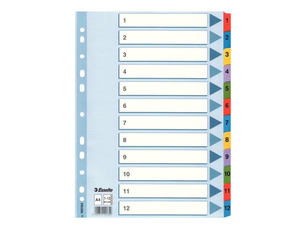 Esselte kartonkirekisteri Mylar A4, Numeroitu välilehtihakemisto, Kartonki, Monivärinen, A4, 225 mm, 297 mm