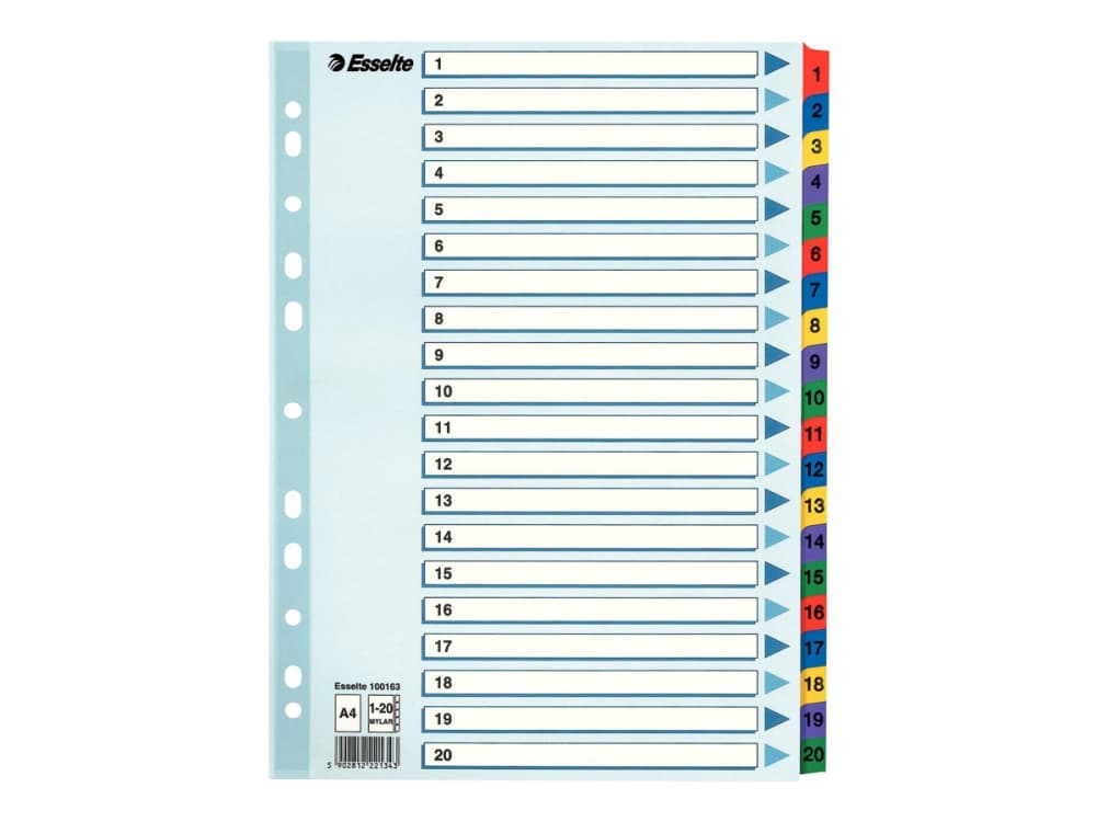 Esselte kartonkirekisteri Mylar A4, Numeroitu välilehtihakemisto, A4, 225 mm, 297 mm, 1 kpl