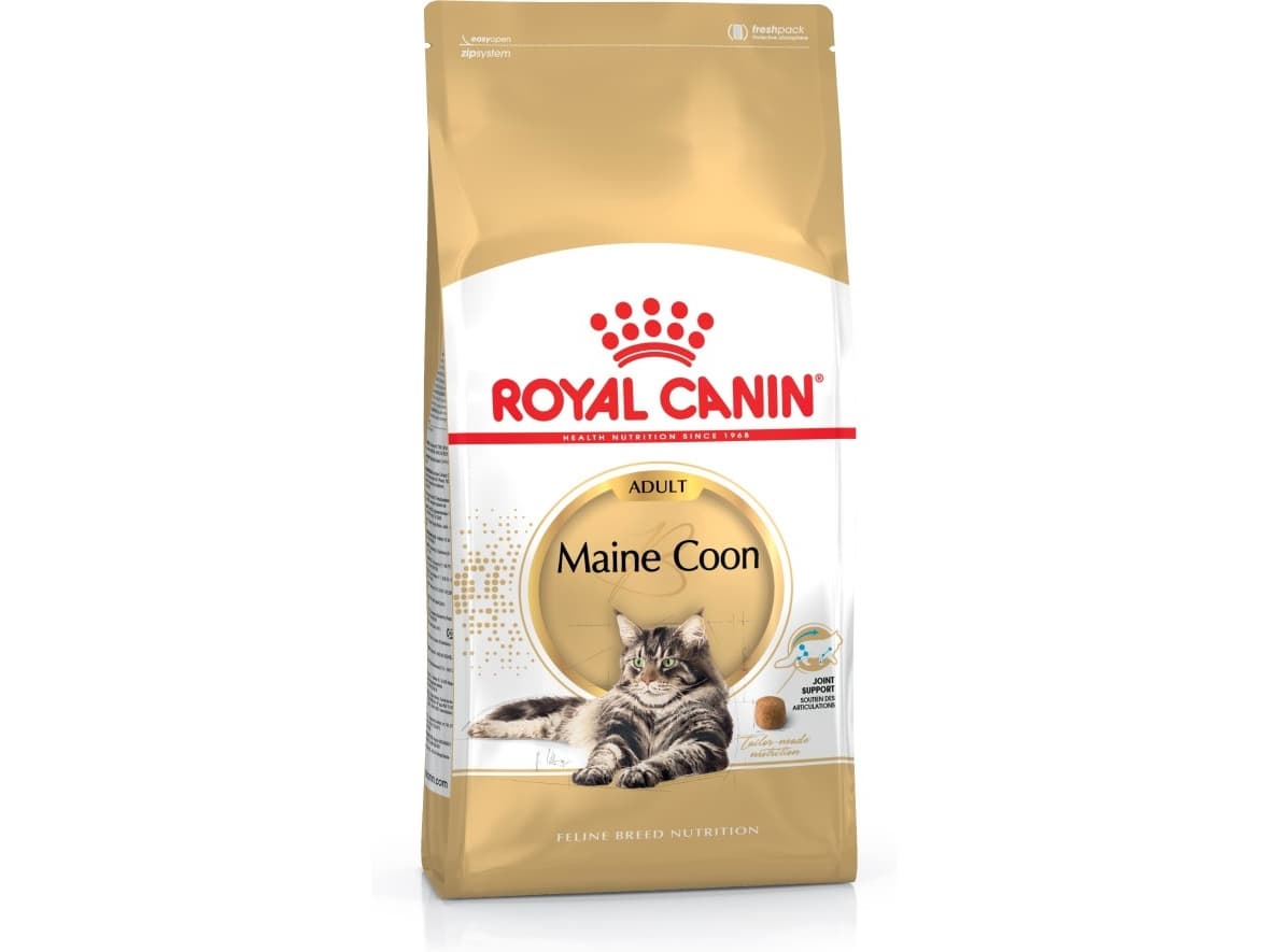 Royal Canin FBN Maine Coon Adult - kuivaruoka aikuisille kissoille - 4kg