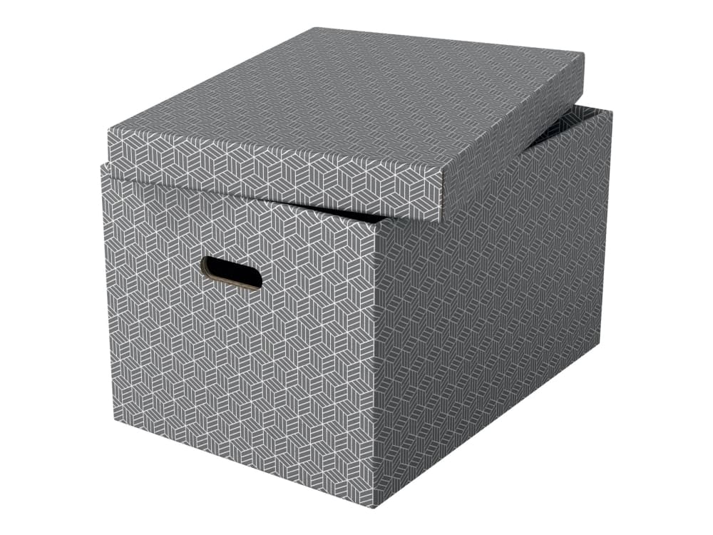 Esselte Home - Opbevaringsboks - large - grå (pakke med 3)