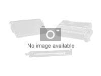Zebra Premier - Polyvinyylikloridi mylar-(PVC)-taustalla - liimaava - 10 mil - 100 korttia (5 kpl:n pakkaus) - Zebra P310F, P310i, P320i, P330i, P330m, P420i, P430i, P430i