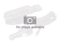 Garmin 010-10747-00, Navigaattori, Auto, Musta