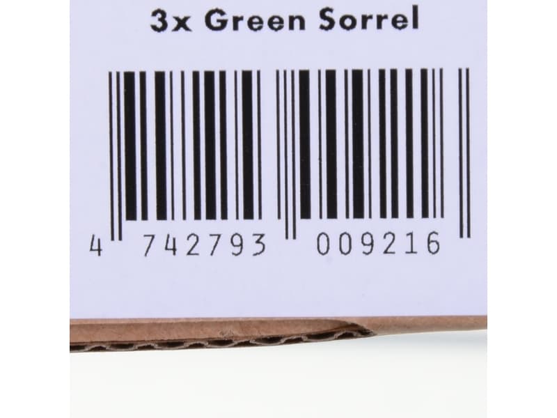 Click & Grow Seeds for Smart Pot - Mixed Lettuce Seeds (PPMSAX9) 9kpl.