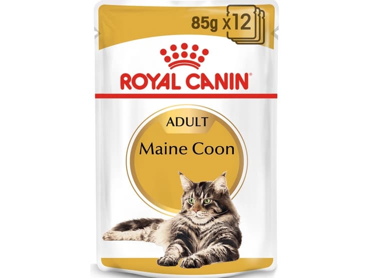Royal Canin FBN Maine Coon 12x85g