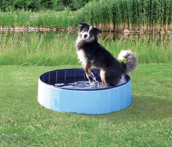 TRIXIE 39481, Lemmikkieläinten kova kahluualtaat, Rund, Plastik, 800 mm, 800 mm, 800 mm, 200 mm