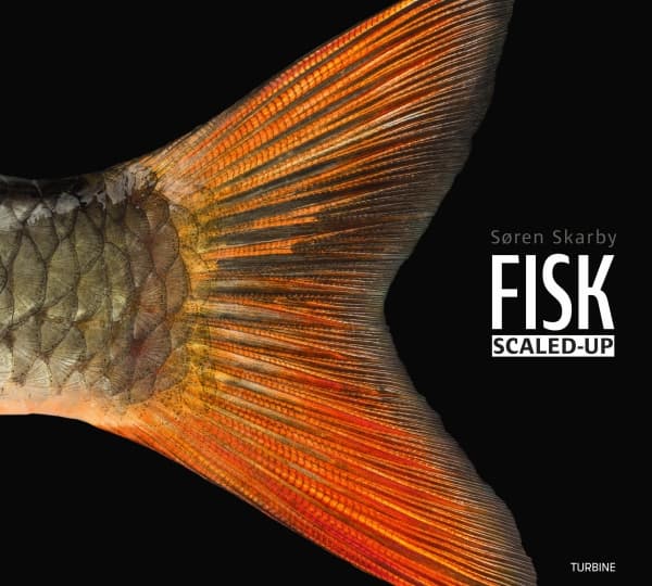 FISK - laajennettu | Søren Skarby | Kieli: Tanska