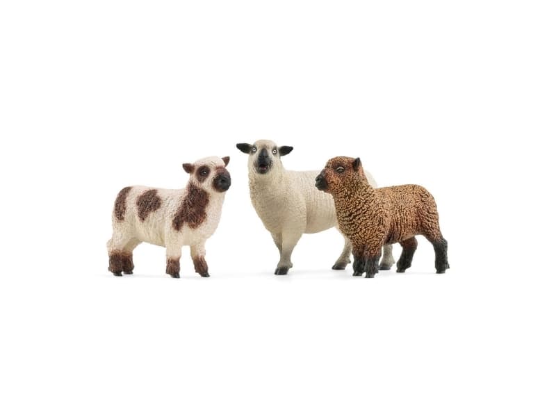 schleich FARM WORLD 42660, 3 vuosi/vuosia, Farm, Farm animals / farm toys, Monivärinen, Muovi