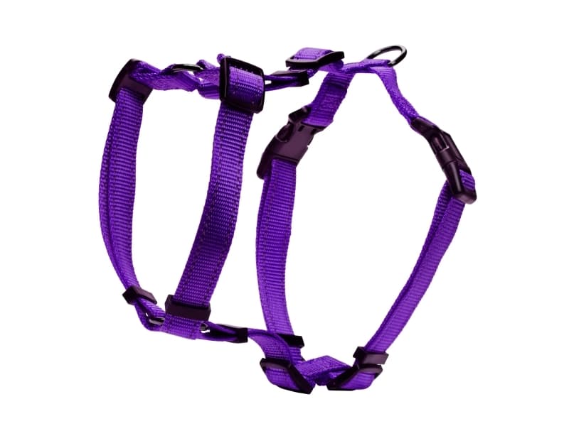 DOGMAN H-sele Iris lila 20mm