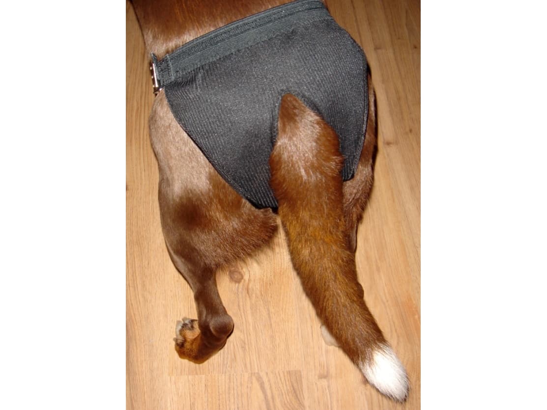 DOGMAN Juoksulappu sor justerb XL Juoksulappu XL