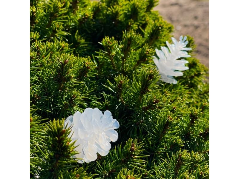 Pine 10m ljusslinga vita ljuss