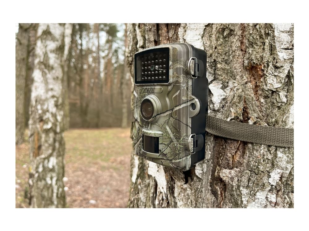 Technaxx TX-256, Sisä- ja ulkokäyttöön, Langallinen ja langaton, Seinä, Musta, Vihreä, Akryylinitriilibutadieenistyreeni, IP66