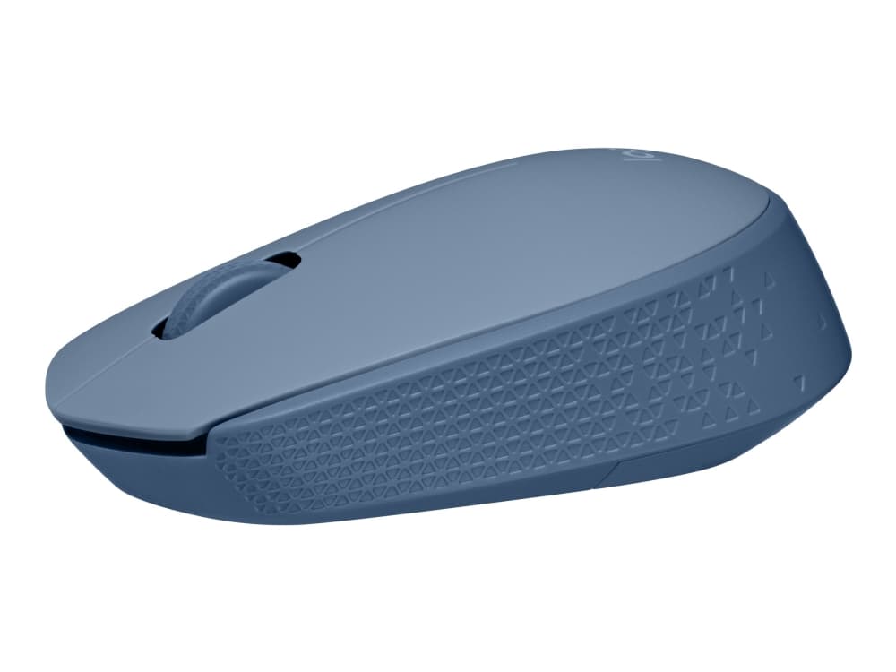 Logitech M171 - Hiiri - oikea- ja vasenkätinen - langaton - 2,4 GHz - langaton vastaanotin (USB) - BlueGrey