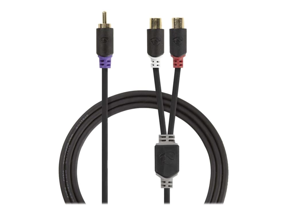 Nedis CABW24010AT02, RCA, 2 x RCA, Kuparipinnoitettu alumiini (CCA), Antrasiitti