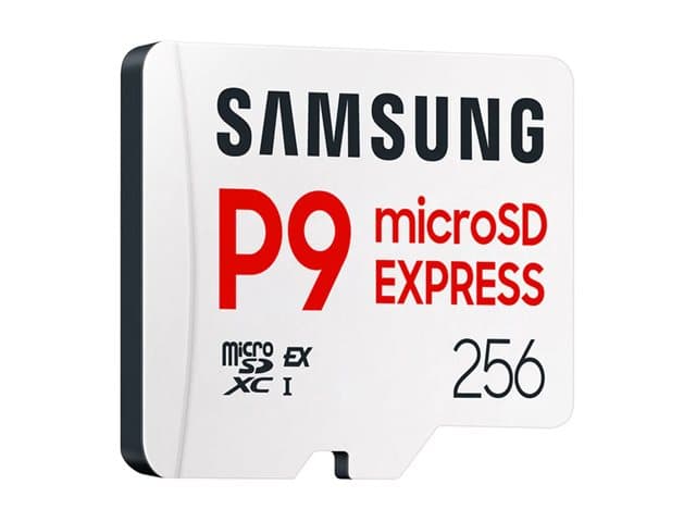 Samsung MicroSD P9 Express 256GB