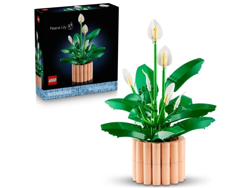 LEGO Botanicals 11504 Rauhanlilja