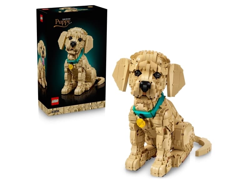 LEGO Icons 11384 Kultaisen noutajan pentu