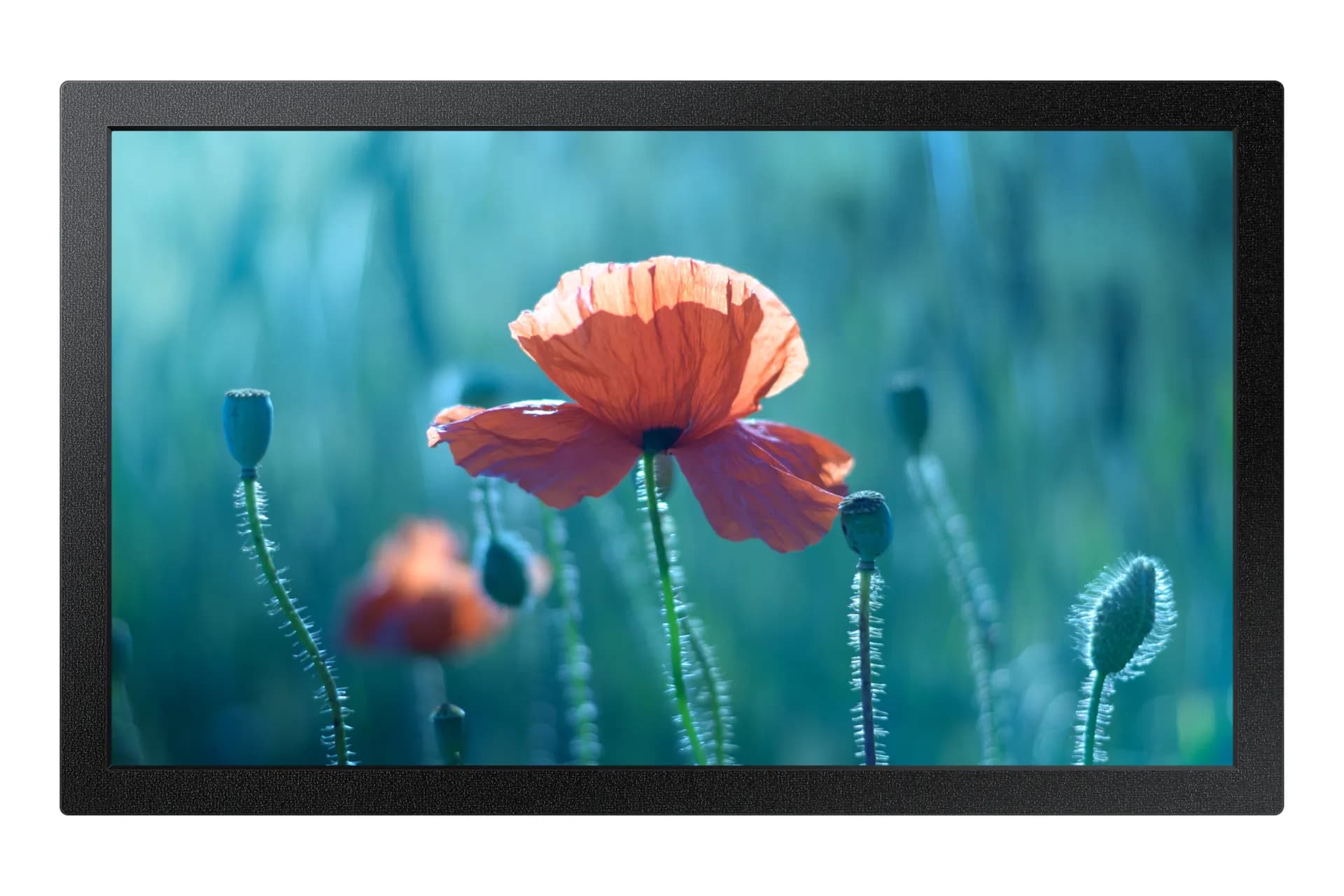 Samsung QB13C. 13"" FHD, HDMI, RS232 -infonäyttö