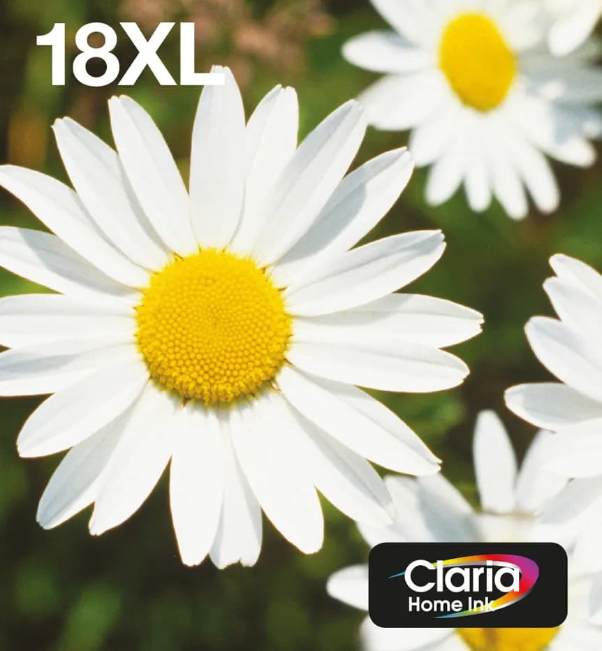 Epson 18XL Daisy -mustekasettipakkaus, musta/syaani/magenta/keltainen, 4 kpl