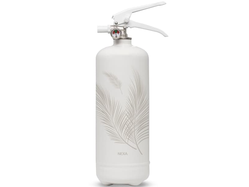 Brandsläckare Palmblad 2kg 13A