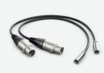 Blackmagic Design HYPERD/AXLRMINI2, mini XLR (3-pin), Uros, XLR (3-pin), Naaras, 0,495 m, Musta
