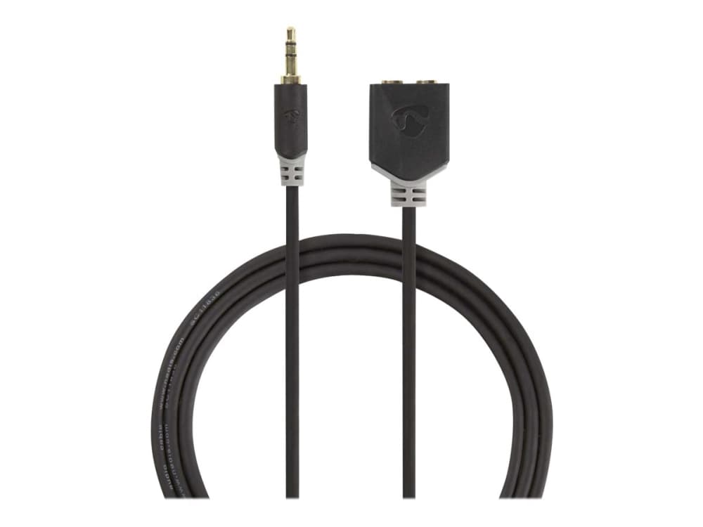 Nedis CABW22100AT02, 3.5mm, 2 x 3.5mm, Kuparipinnoitettu alumiini (CCA), Antrasiitti