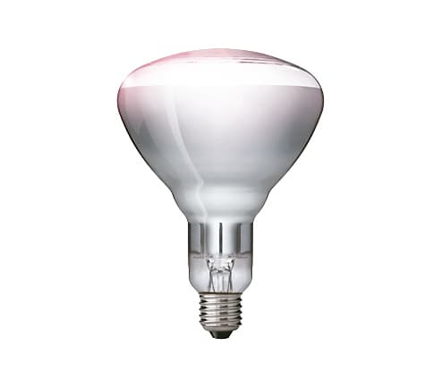 PHILIPS Hehkulamppu 250W E27 230-250V BR125 Kirkas kirkas