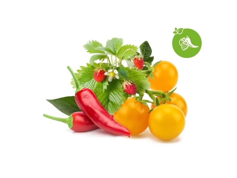 Plant pod Click & Grow Kasvipod 9-pack, hedelmä- ja vihannessekoitus