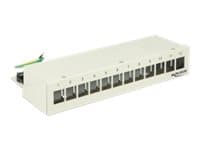 Delock Keystone Desktop Patch Panel - Liitäntäpaneeli - vaaleanharmaa, RAL 7035 - 12 porttia