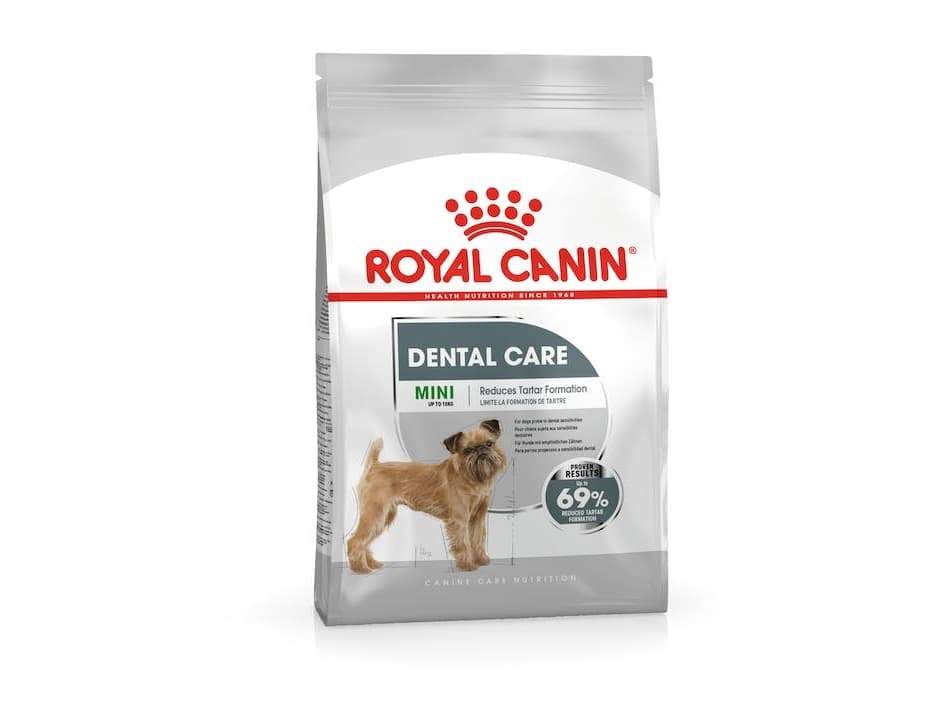 ROYAL CANIN CCN Mini Dental Care - kuivaruoka aikuisille koirille - 3 kg