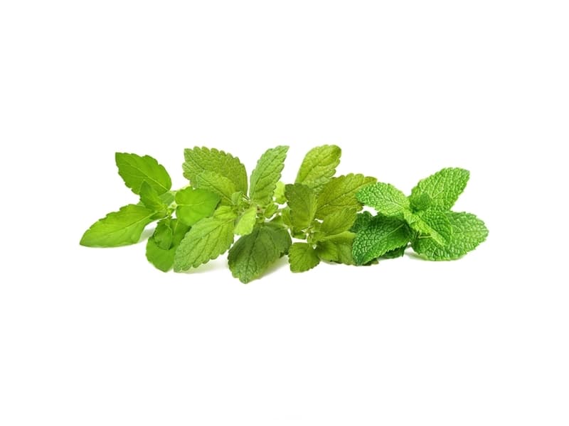 Click & Grow siemenet Smart Pot - rauhoittava teesekoitus (PPMCTX9) 9kpl.