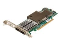 Broadcom NetXtreme E-Series P2100G - Verkkosovitin - PCIe 4.0 x16 matala profiili - 100 Gigabitin QSFP56 x 2