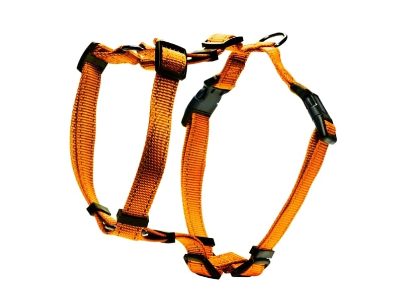 DOGMAN H-sele Iris oranssi 25mm