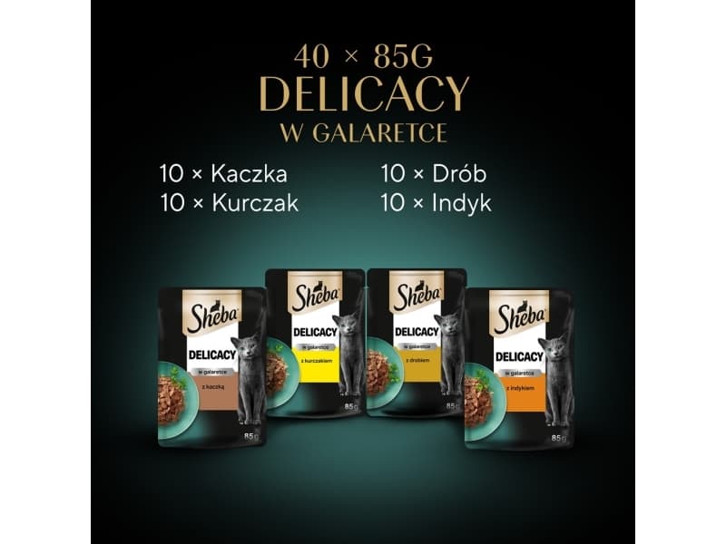 SHEBA Delicacy Poultry Jelly Flavours - kissan märkäruoka - 40x85g