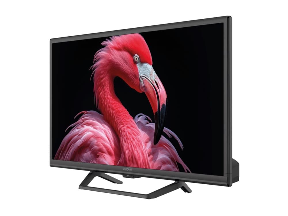 Vahva 24 HD Google TV m/12v -sovitin - Hyvää retkeilyä varten - SRT24HG4723C